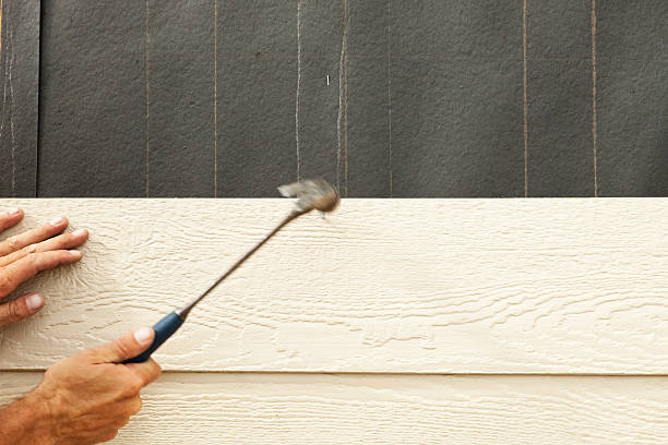 Best Insulated Siding Installation  in Red Corral, CA